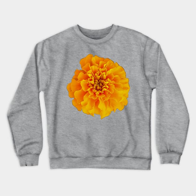 Orange Marigold Nature Floral Photo Crewneck Sweatshirt by ellenhenryart